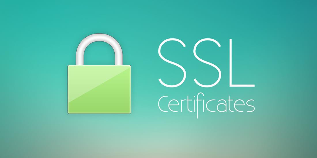 گواهینامه SSL چیست و به چه صورت کار می کند؟